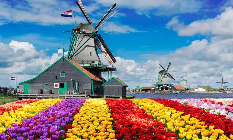 Elit Benelux Paris Alsace İsviçre Almanya Turu THY ile 7 Gece Ekstra Turlar Dahil Sömestr Dönemi (ZRH - CGN)