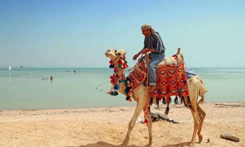 Baştanbaşa Gizemli Mısır Turu - Pegasus HY ile 7Gece - Sharm El Sheikh Çıkışlı Tur Programı