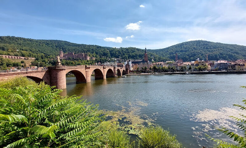 Elit Alsace ve Colmar Turu THY ile 3 Gece Ekstra Turlar Dahil Tur Programı